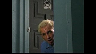 Perfect शैली