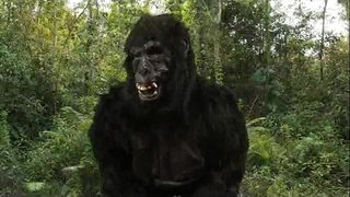 King Dong&amp;#039;s 40oz Resalto!