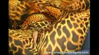 Çılgın spandex kız alay seks