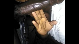 Midday ቅድሚያ የሚሰጡዋቸውን ቅድሚያ የሚሰጡዋቸውን